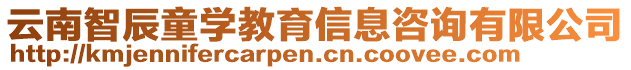 云南智辰童學(xué)教育信息咨詢(xún)有限公司