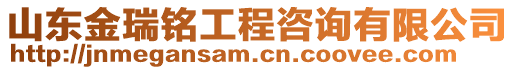 山東金瑞銘工程咨詢有限公司