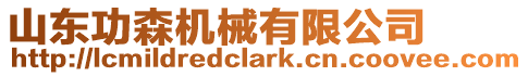 山東功森機械有限公司