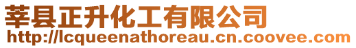莘縣正升化工有限公司