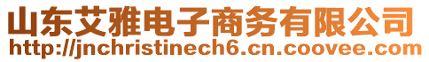 山東艾雅電子商務(wù)有限公司