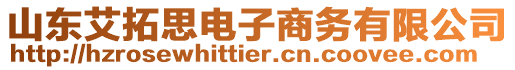 山東艾拓思電子商務(wù)有限公司