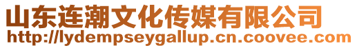 山東連潮文化傳媒有限公司