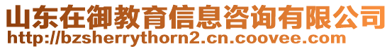 山東在御教育信息咨詢有限公司