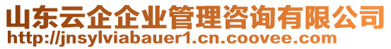 山東云企企業(yè)管理咨詢有限公司