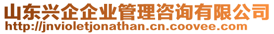 山東興企企業(yè)管理咨詢有限公司