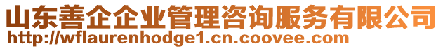 山東善企企業管理咨詢服務有限公司
