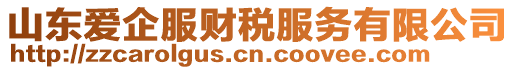 山東愛企服財稅服務有限公司