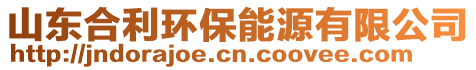 山东合利环保能源有限公司