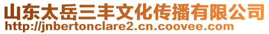 山東太岳三豐文化傳播有限公司