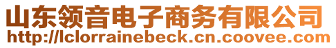 山東領(lǐng)音電子商務(wù)有限公司