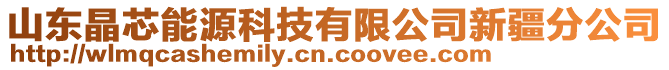 山東晶芯能源科技有限公司新疆分公司