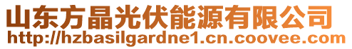 山東方晶光伏能源有限公司