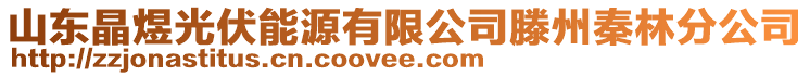 山東晶煜光伏能源有限公司滕州秦林分公司