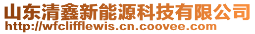 山東清鑫新能源科技有限公司