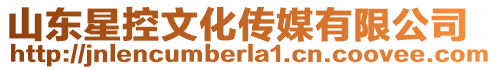 山東星控文化傳媒有限公司