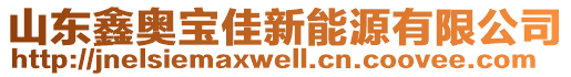 山東鑫奧寶佳新能源有限公司