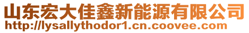 山東宏大佳鑫新能源有限公司