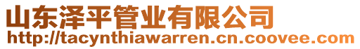 山東澤平管業(yè)有限公司