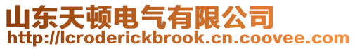 山東天頓電氣有限公司