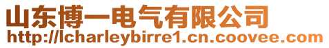 山東博一電氣有限公司