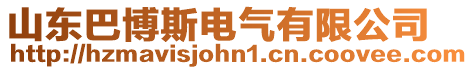 山東巴博斯電氣有限公司