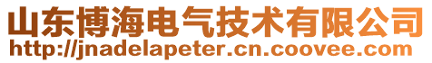 山東博海電氣技術(shù)有限公司