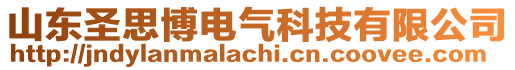 山東圣思博電氣科技有限公司