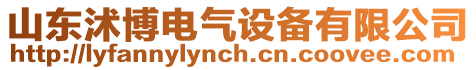 山東沭博電氣設備有限公司