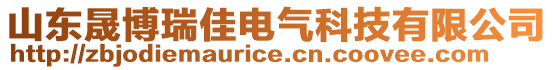 山東晟博瑞佳電氣科技有限公司