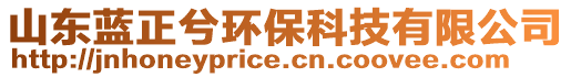 山東藍(lán)正兮環(huán)保科技有限公司