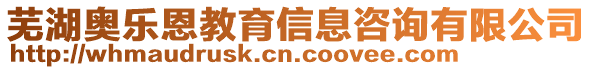 蕪湖奧樂恩教育信息咨詢有限公司