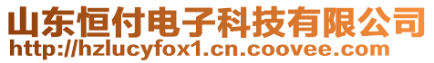 山東恒付電子科技有限公司