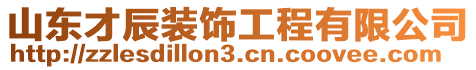 山東才辰裝飾工程有限公司