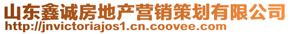山東鑫誠房地產營銷策劃有限公司