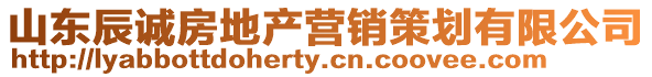 山東辰誠房地產營銷策劃有限公司