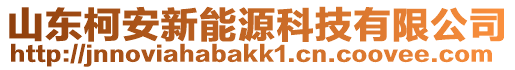 山東柯安新能源科技有限公司