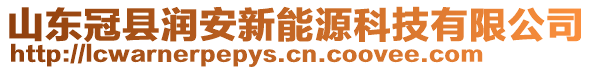 山東冠縣潤(rùn)安新能源科技有限公司