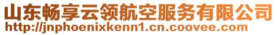 山東暢享云領(lǐng)航空服務(wù)有限公司