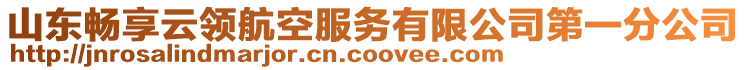 山東暢享云領(lǐng)航空服務(wù)有限公司第一分公司