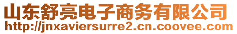 山東舒亮電子商務(wù)有限公司