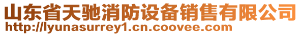 山東省天馳消防設(shè)備銷售有限公司