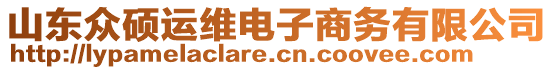 山東眾碩運(yùn)維電子商務(wù)有限公司