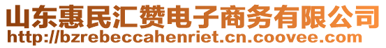 山東惠民匯贊電子商務(wù)有限公司