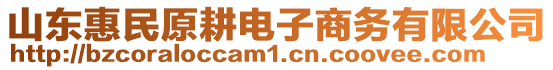 山東惠民原耕電子商務(wù)有限公司