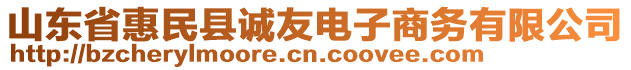 山東省惠民縣誠友電子商務(wù)有限公司