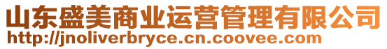 山東盛美商業(yè)運(yùn)營(yíng)管理有限公司