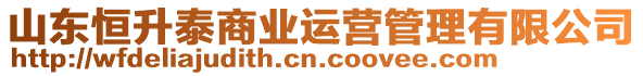 山東恒升泰商業(yè)運營管理有限公司