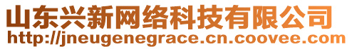 山東興新網(wǎng)絡(luò)科技有限公司