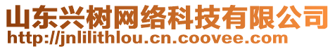 山東興樹網(wǎng)絡(luò)科技有限公司